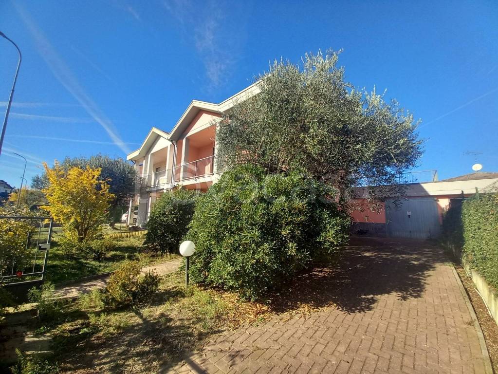 immagine annuncio 4 di 15