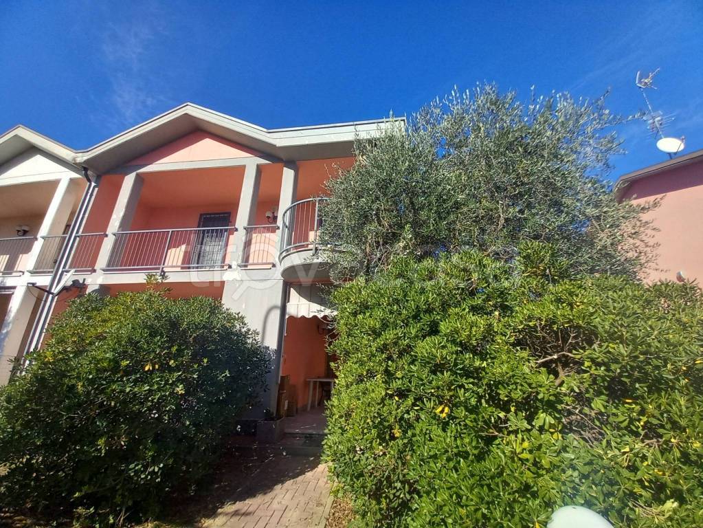 immagine annuncio 3 di 15