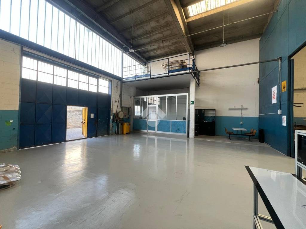 immagine annuncio 1 di 15