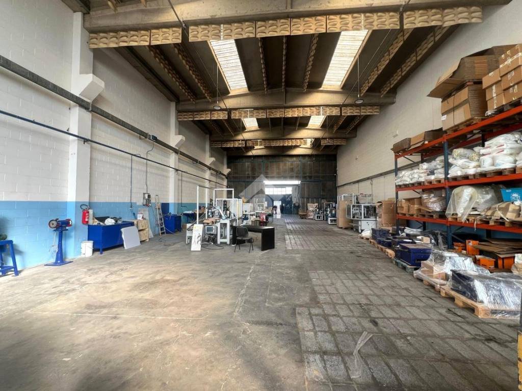 immagine annuncio 3 di 15