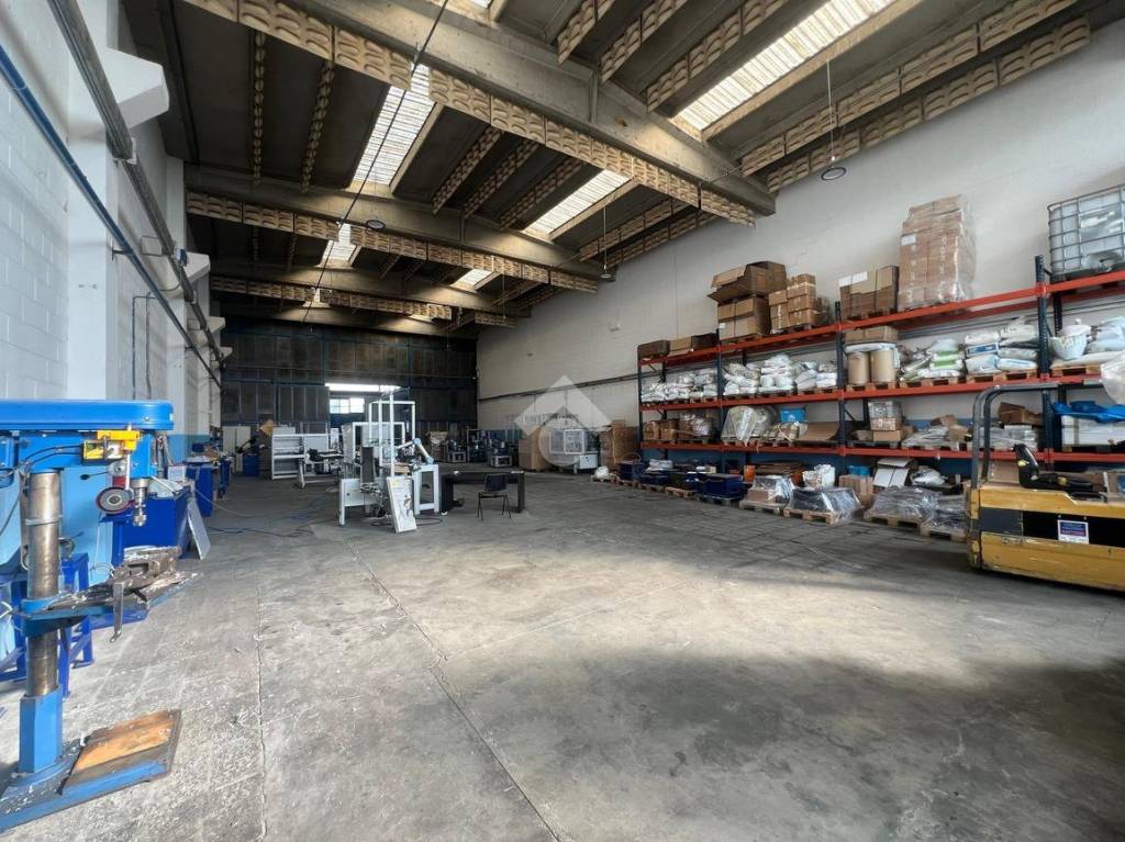 immagine annuncio 4 di 15