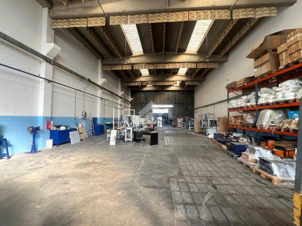 immagine annuncio 6 di 15