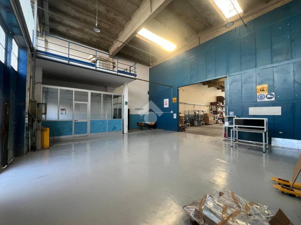 immagine annuncio 9 di 15