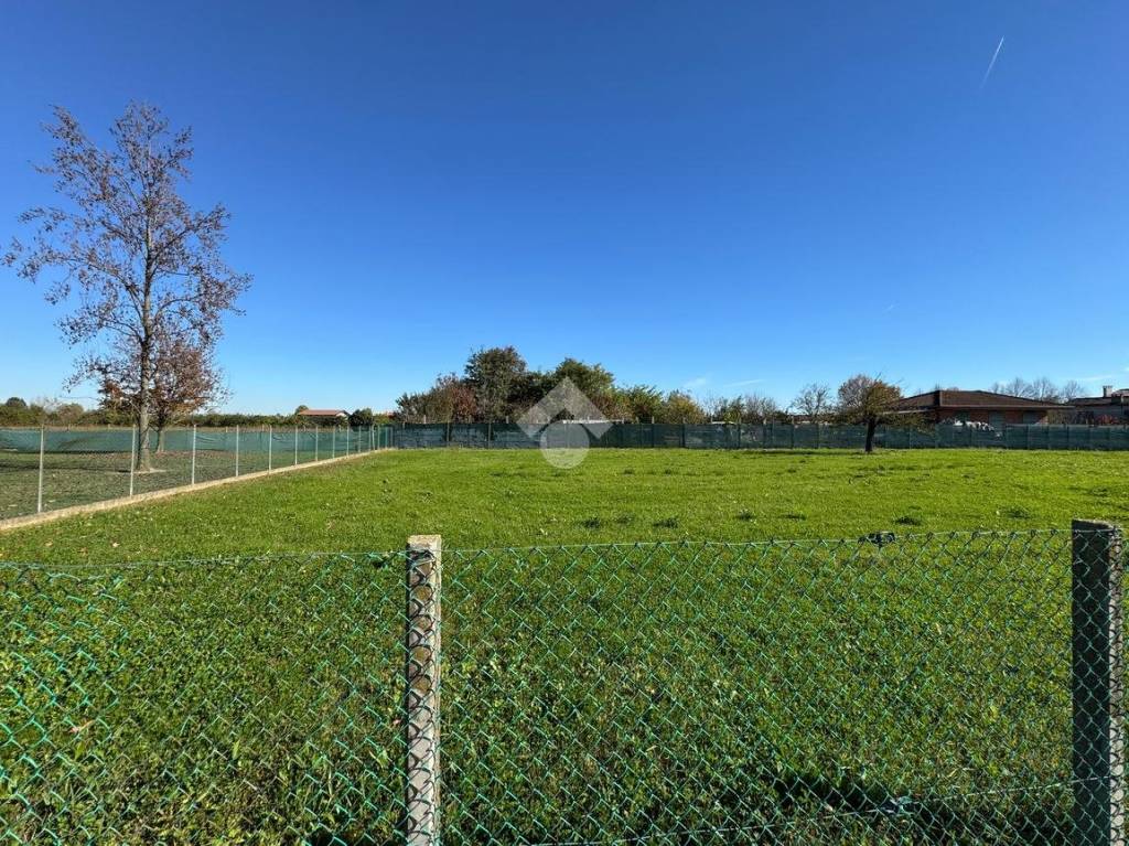 immagine annuncio 1 di 4