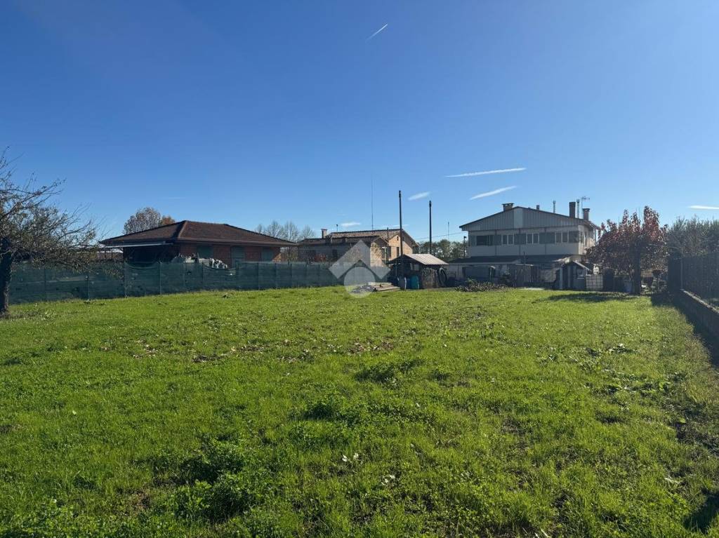 immagine annuncio 2 di 4