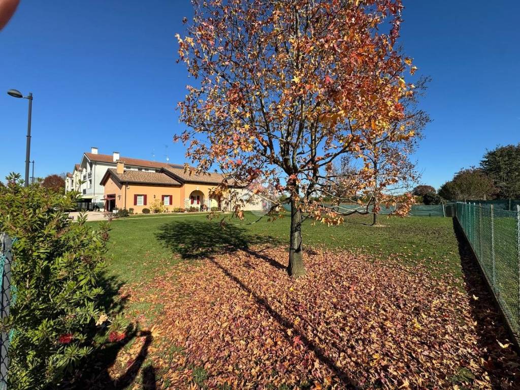 immagine annuncio 4 di 6