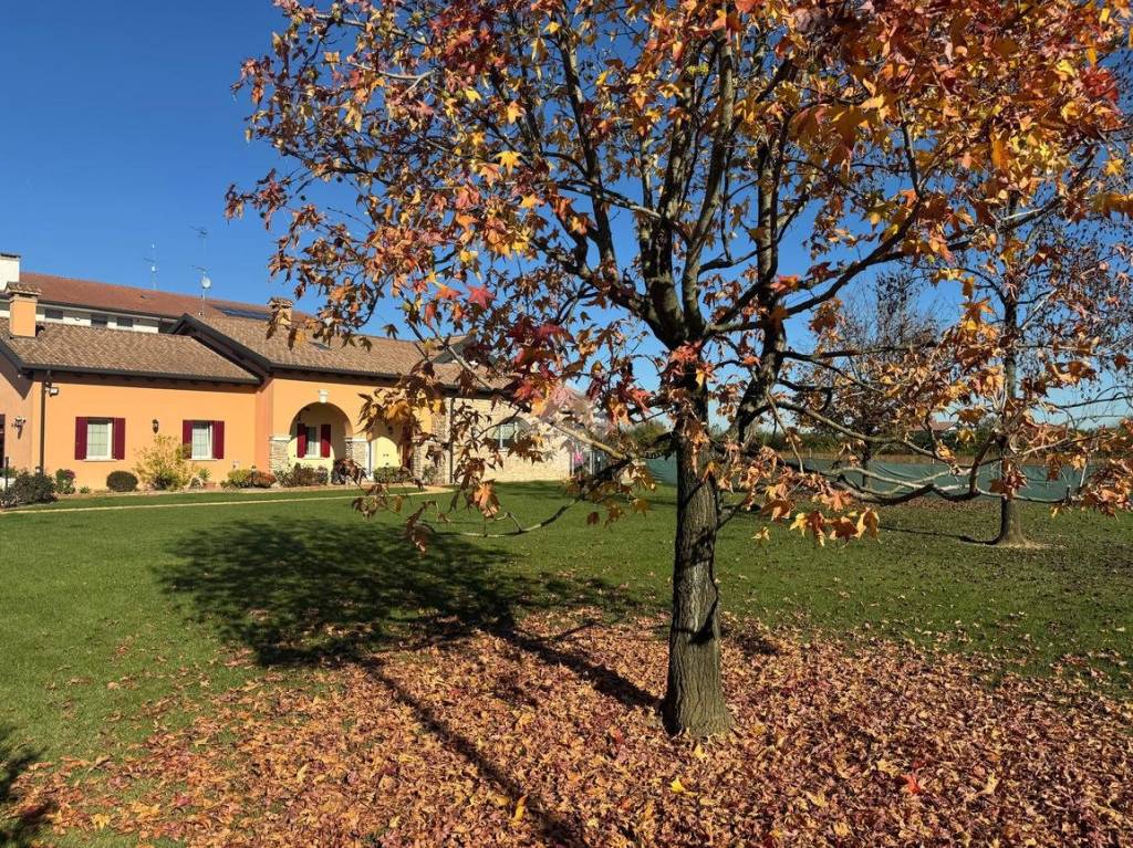 immagine annuncio 5 di 6