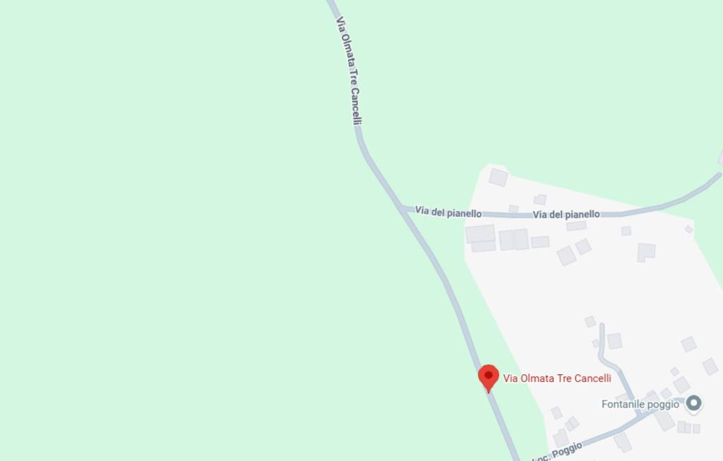 immagine annuncio 10 di 11