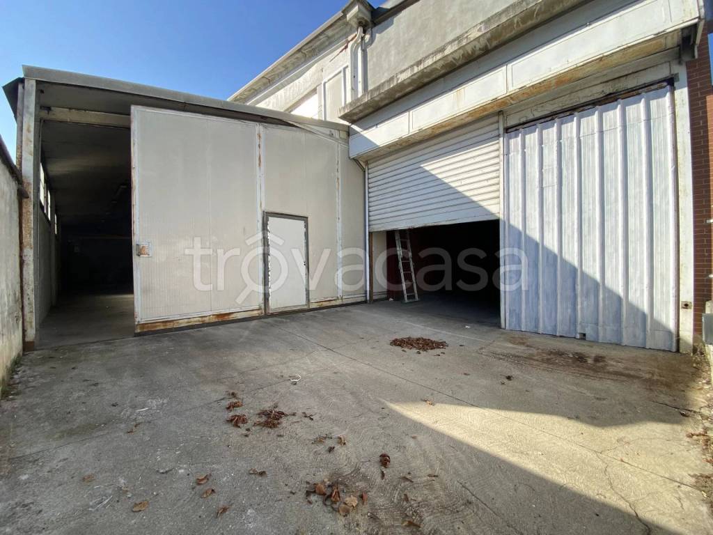 immagine annuncio 2 di 8