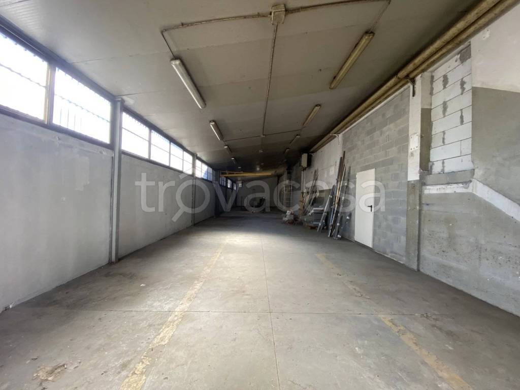 immagine annuncio 5 di 8