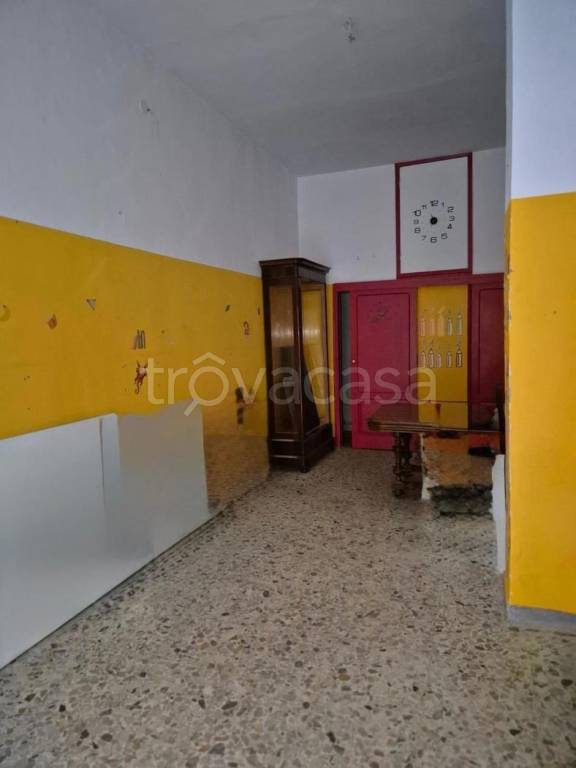 immagine annuncio 4 di 8