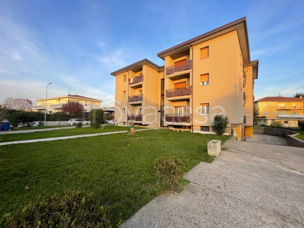 immagine annuncio 1 di 15