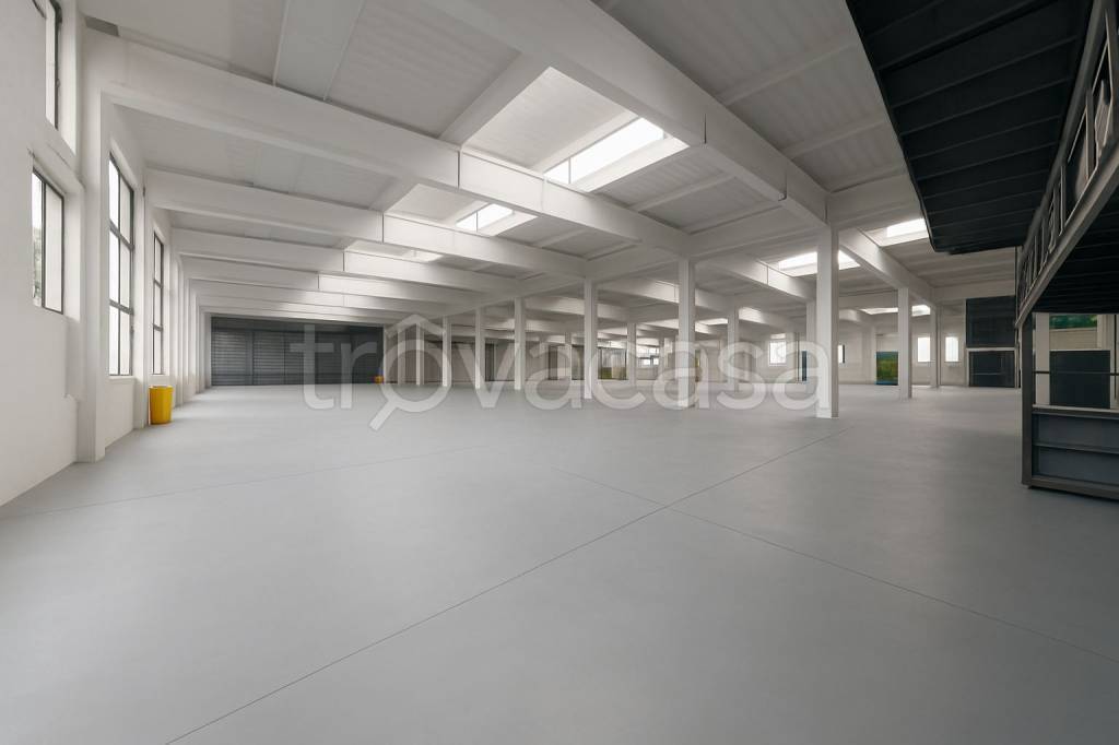 immagine annuncio 4 di 11