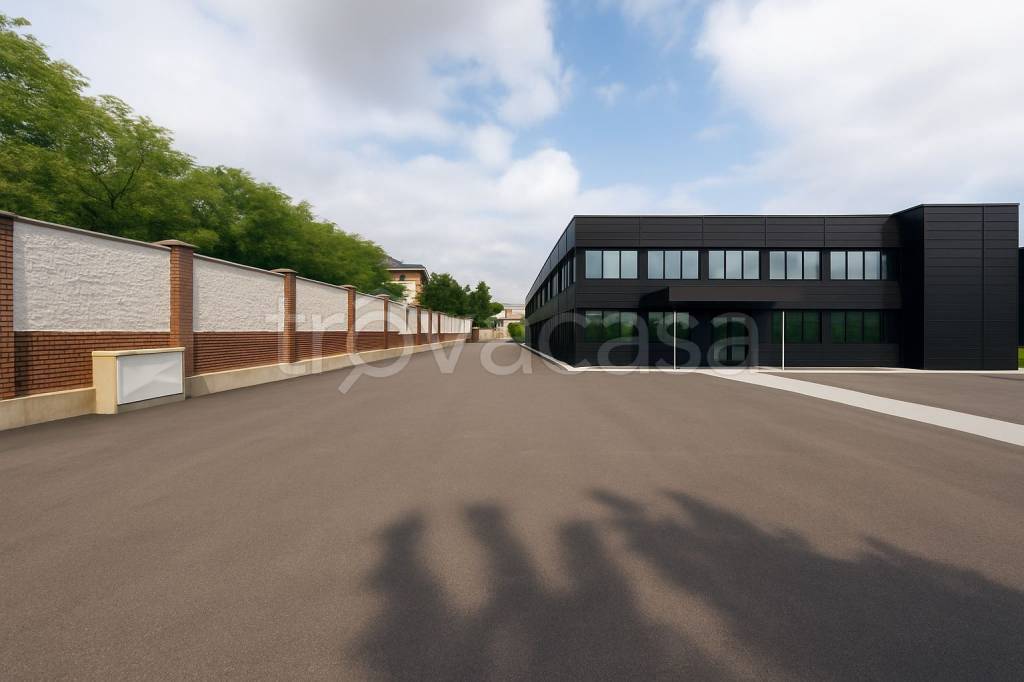 immagine annuncio 9 di 11