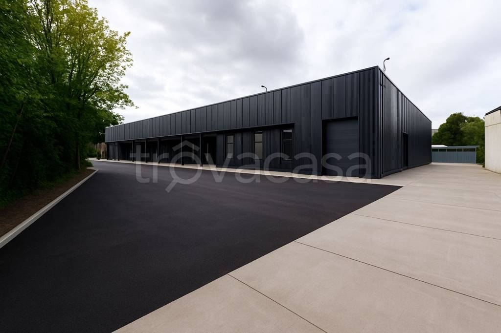 immagine annuncio 10 di 11