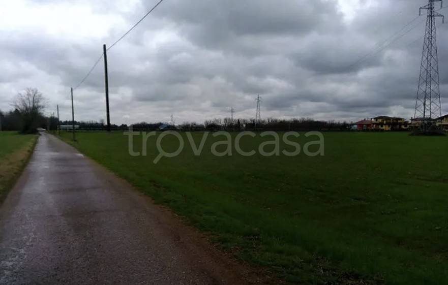 immagine annuncio 1 di 6