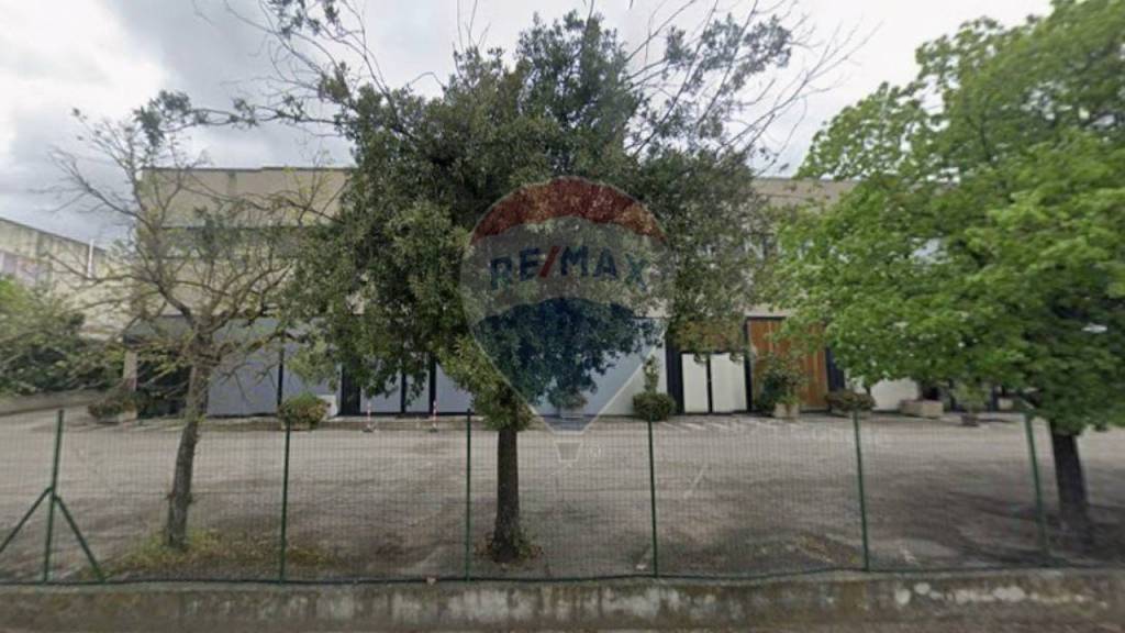 immagine annuncio 4 di 6