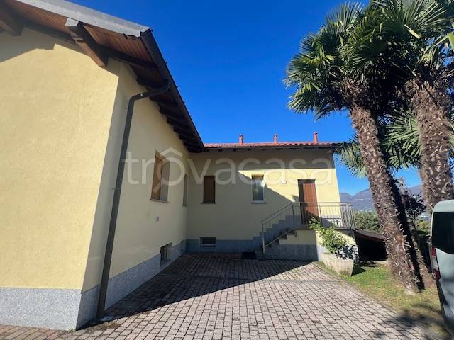 immagine annuncio 11 di 13