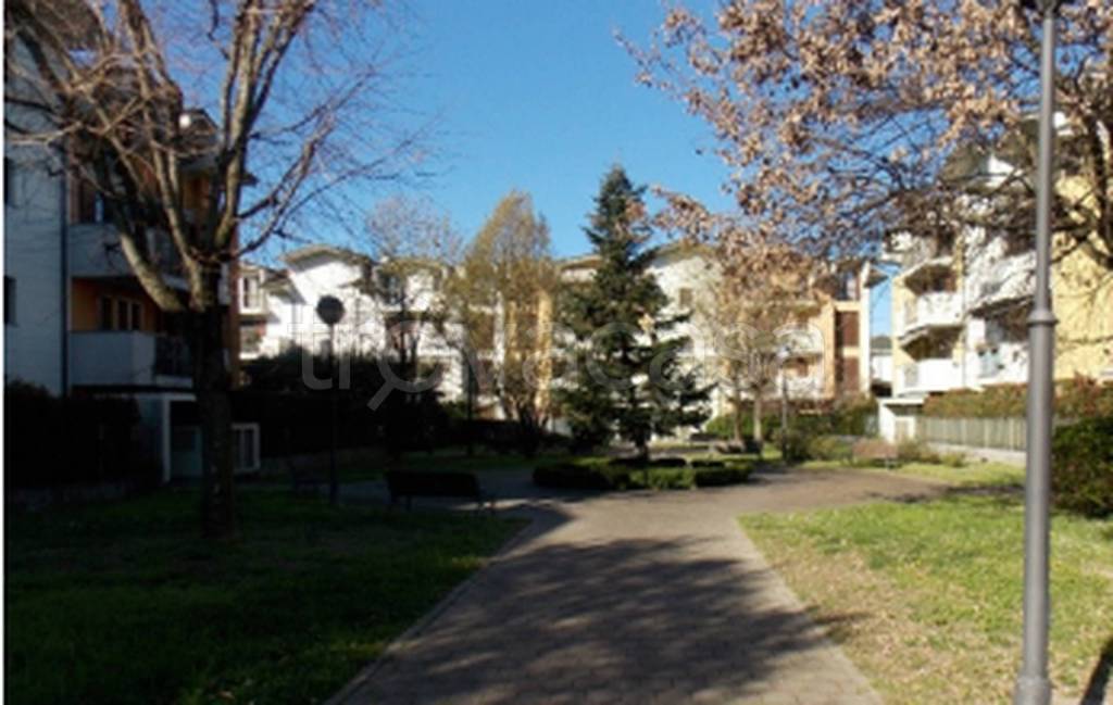 immagine annuncio 9 di 11