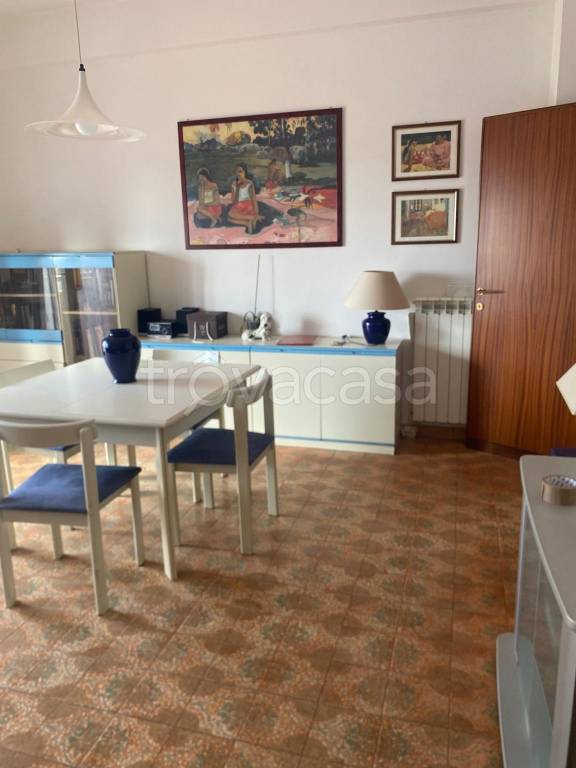 immagine annuncio 7 di 14