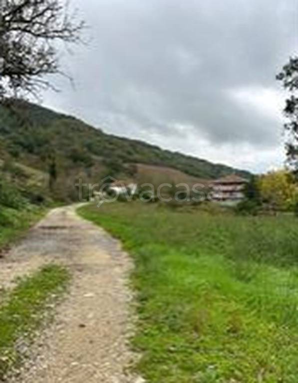 immagine annuncio 8 di 11