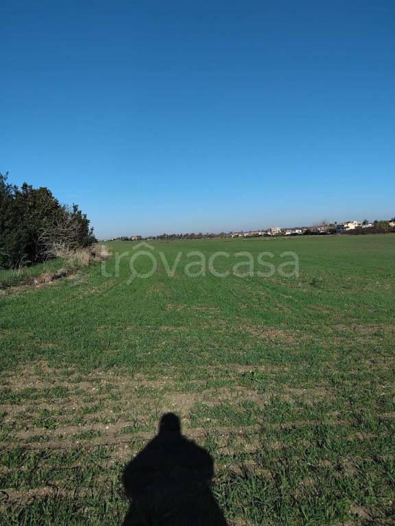 immagine annuncio 2 di 7