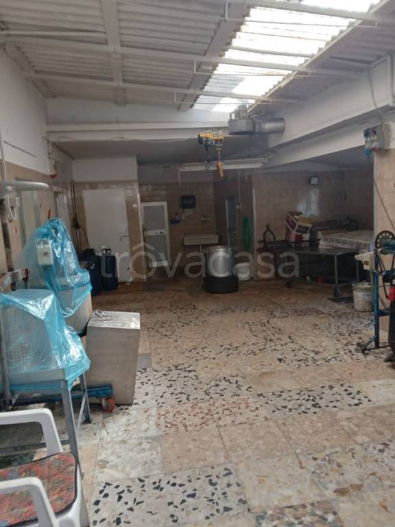 immagine annuncio 6 di 12