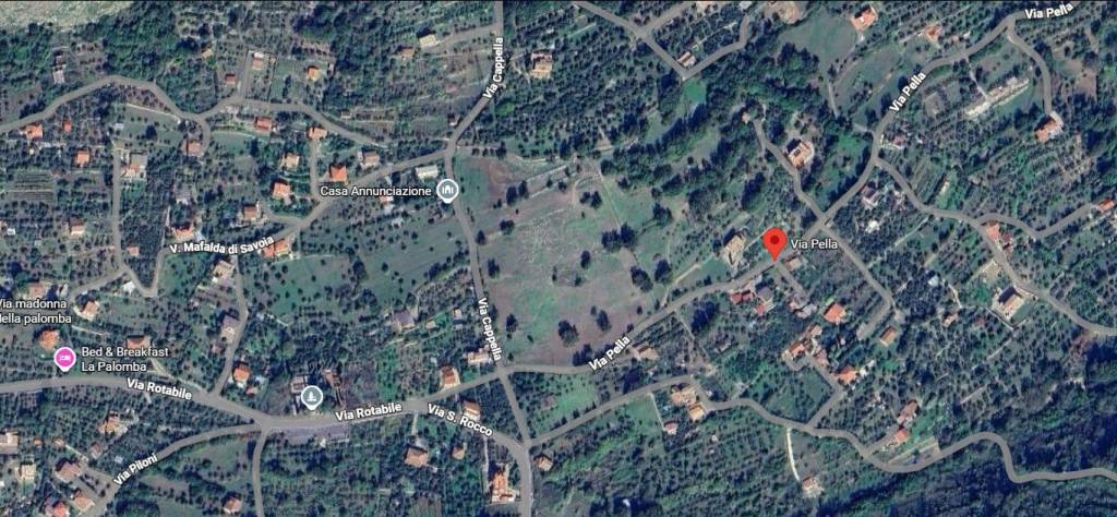 immagine annuncio 10 di 11