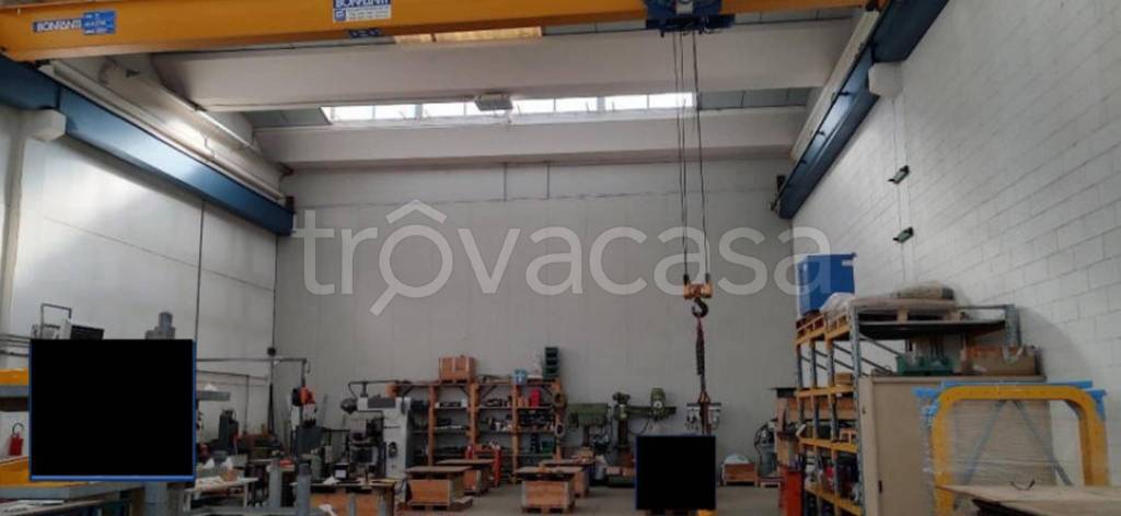 immagine annuncio 1 di 12