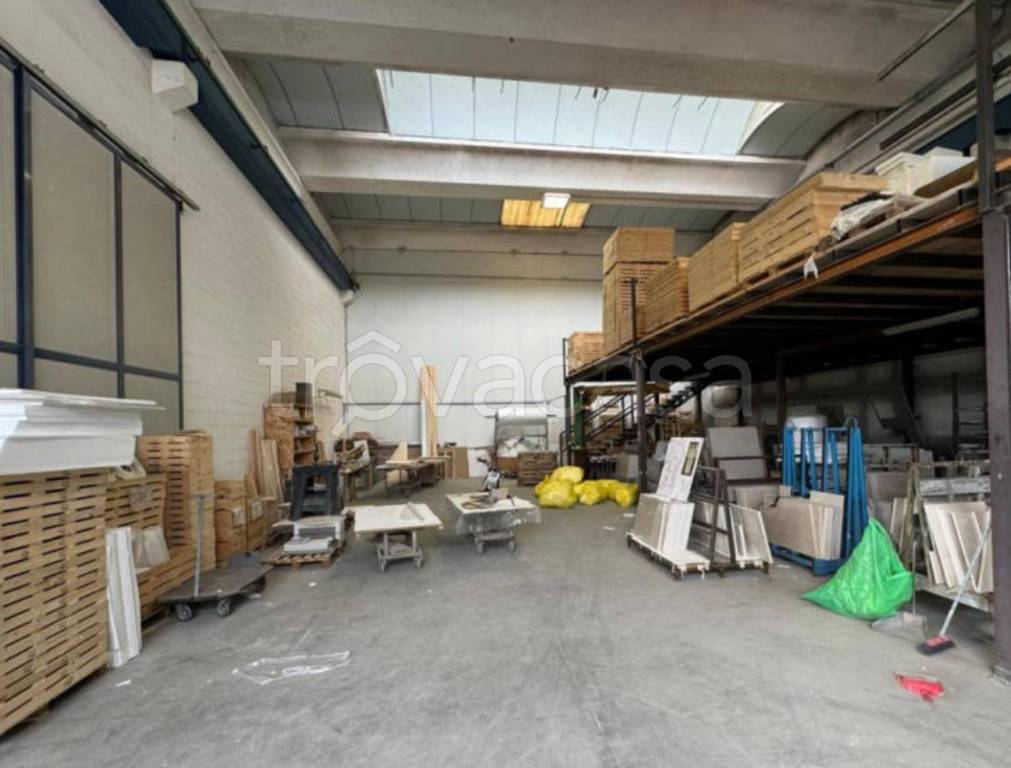 immagine annuncio 5 di 12