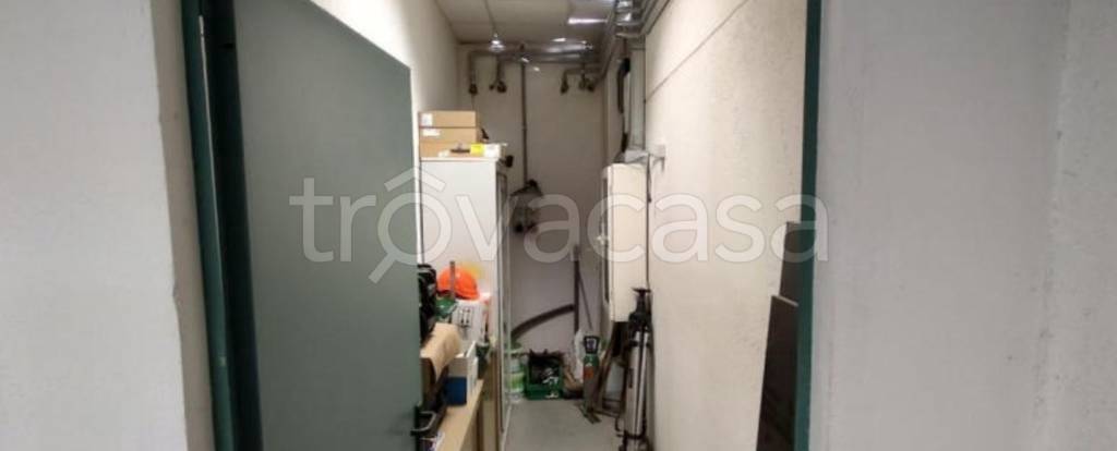 immagine annuncio 8 di 12