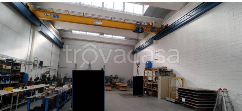 immagine annuncio 10 di 12