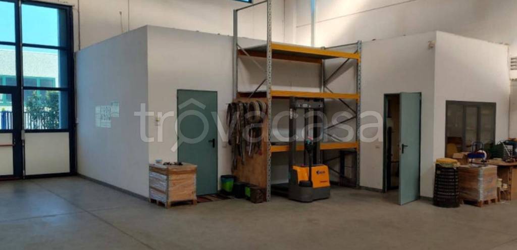 immagine annuncio 11 di 12