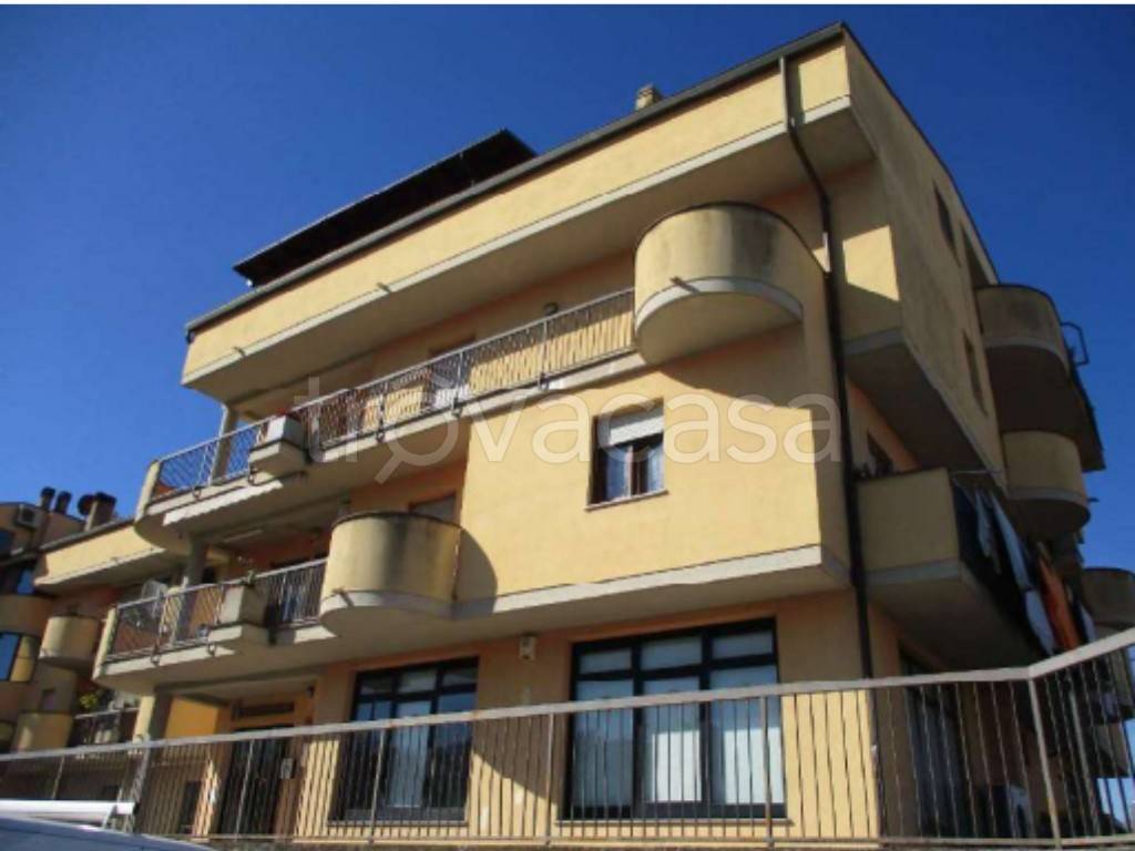 immagine annuncio 3 di 11