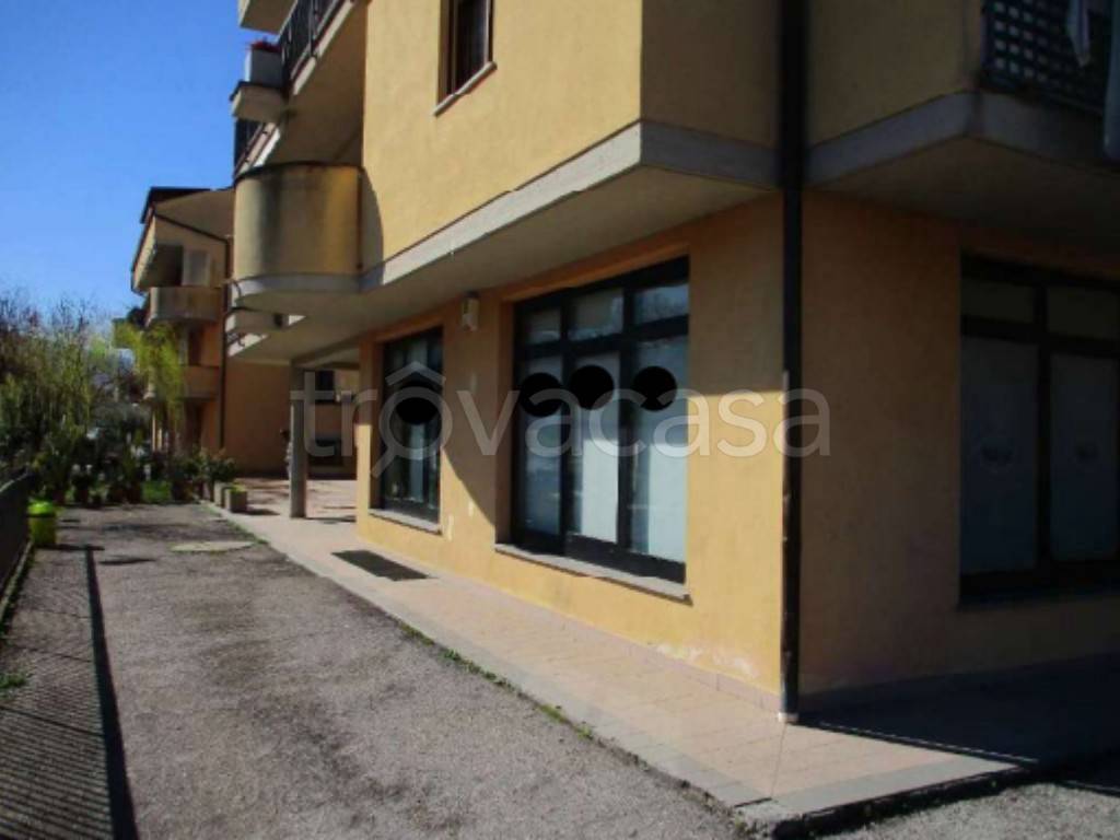 immagine annuncio 7 di 11