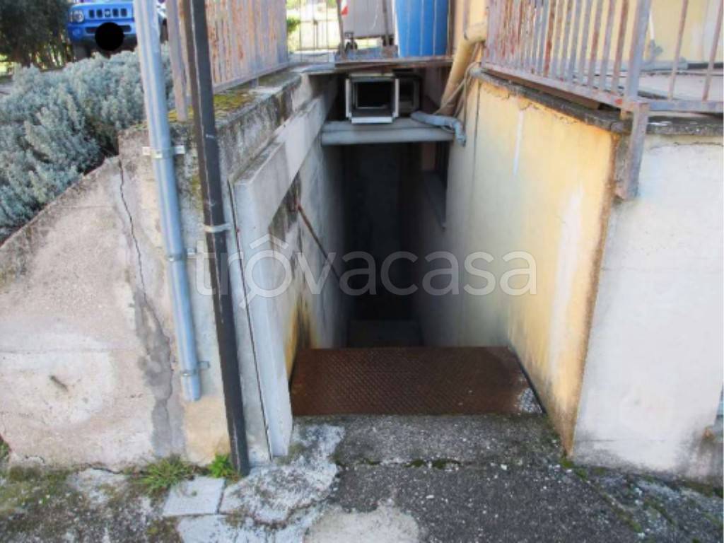 immagine annuncio 8 di 11