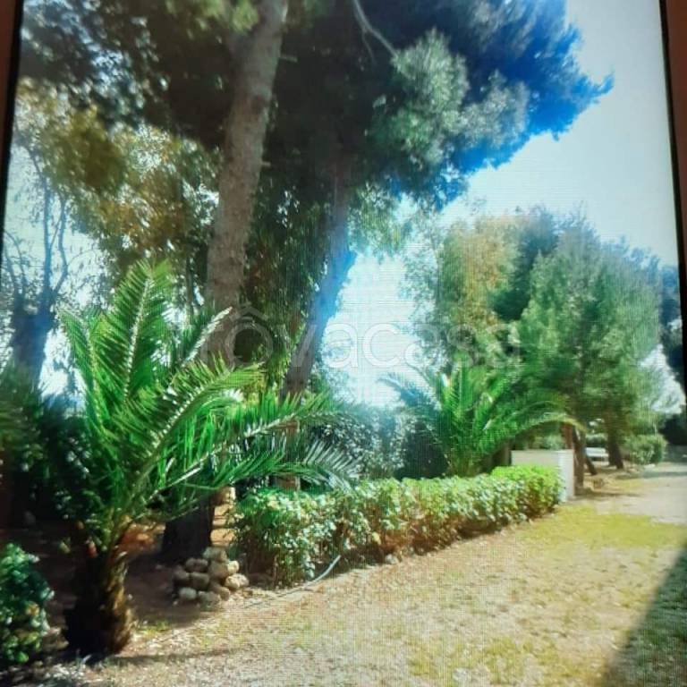 immagine annuncio 2 di 7