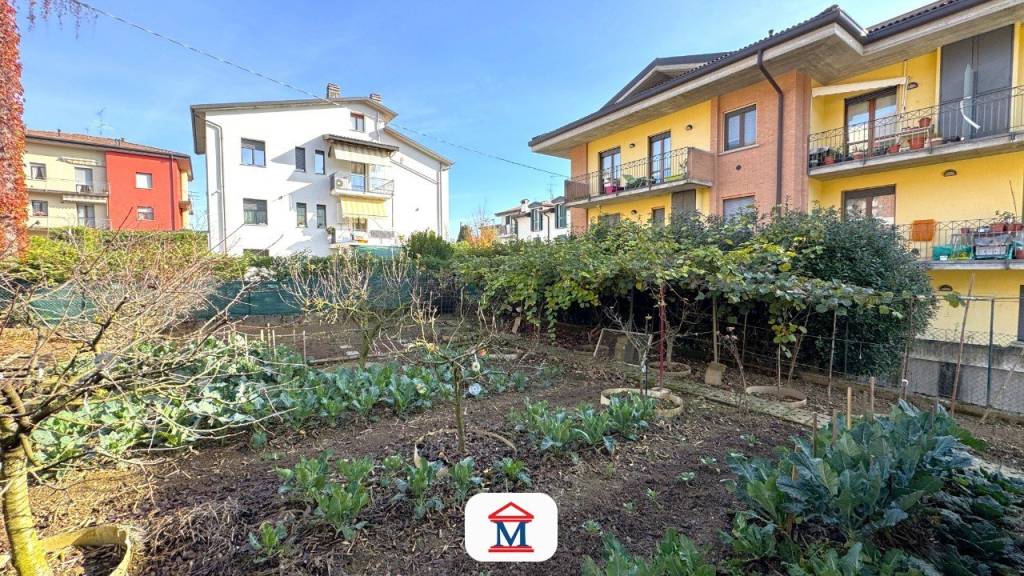 immagine annuncio 10 di 12