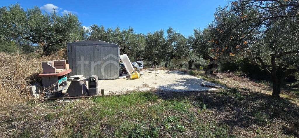 immagine annuncio 1 di 8