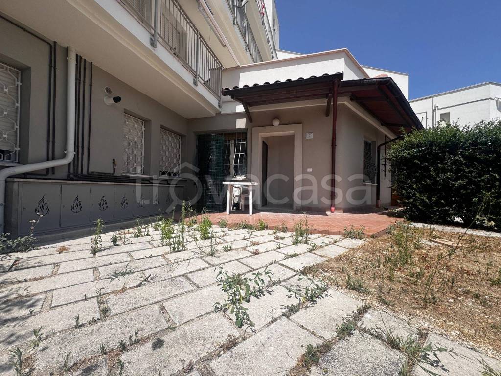 immagine annuncio 13 di 14