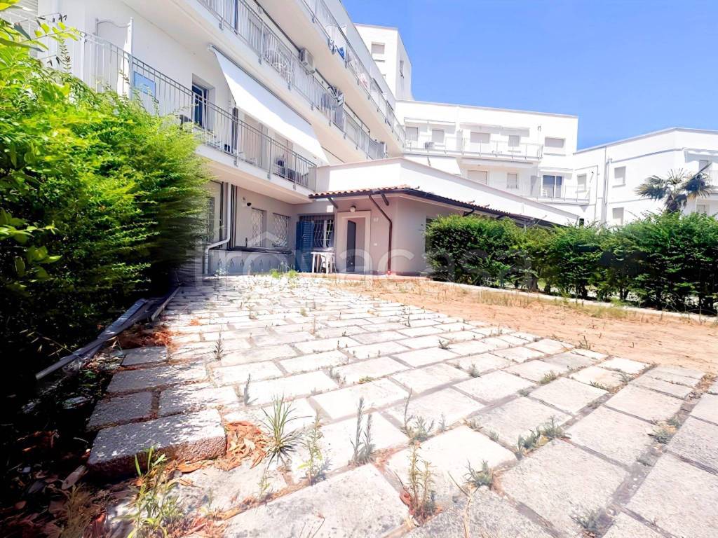 immagine annuncio 1 di 14