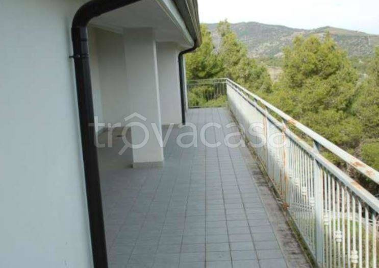 immagine annuncio 5 di 8