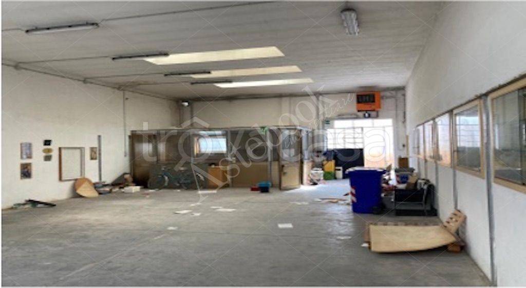 immagine annuncio 12 di 15