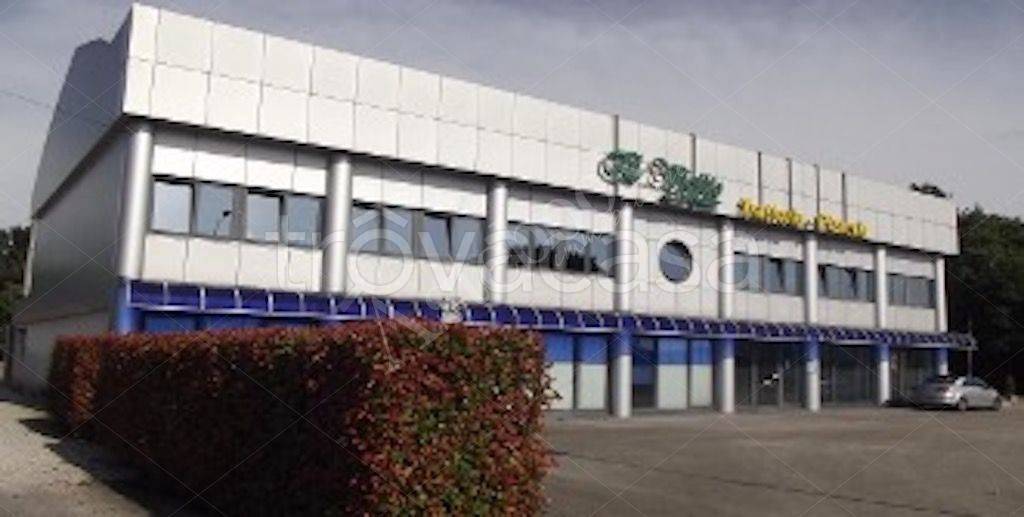 immagine annuncio 2 di 10