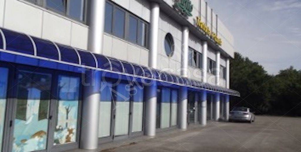 immagine annuncio 7 di 10