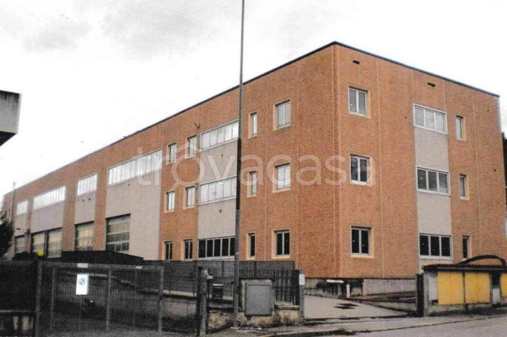 immagine annuncio 6 di 15