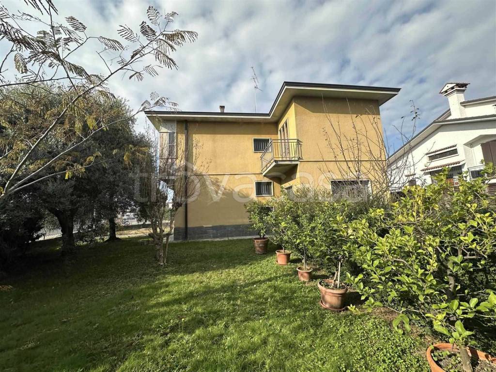 immagine annuncio 4 di 15