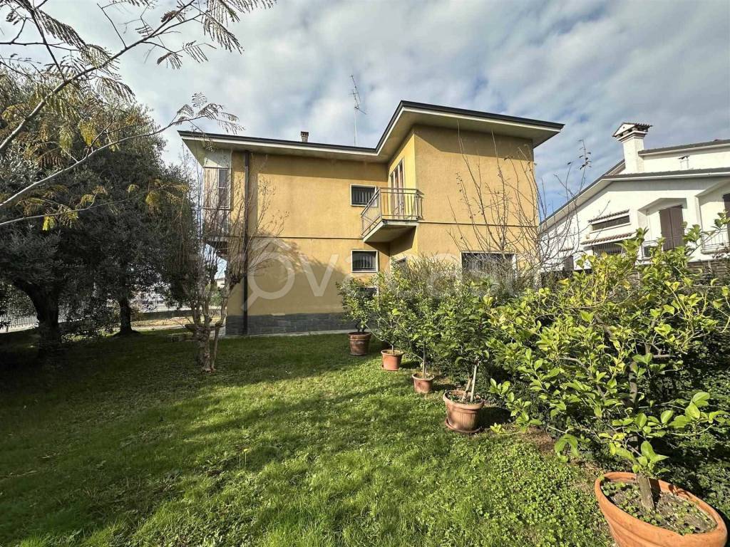 immagine annuncio 5 di 15