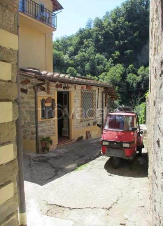 immagine annuncio 3 di 14