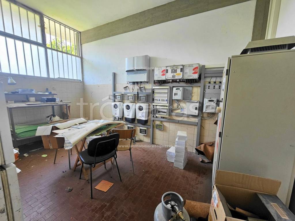 immagine annuncio 9 di 15